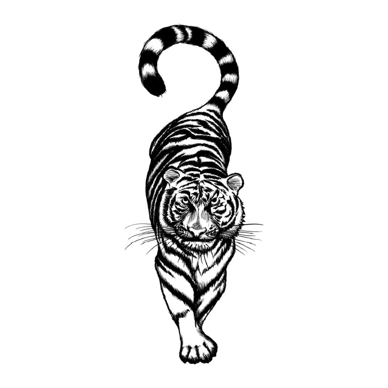 Tatuagem temporária Animais Selvagens — Tigre caminhando. Inclui tigre