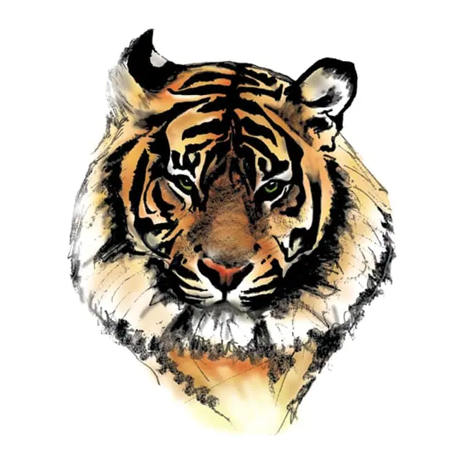 Tatuagem temporária Animais Selvagens — Tigre em aquarela. Inclui tigre