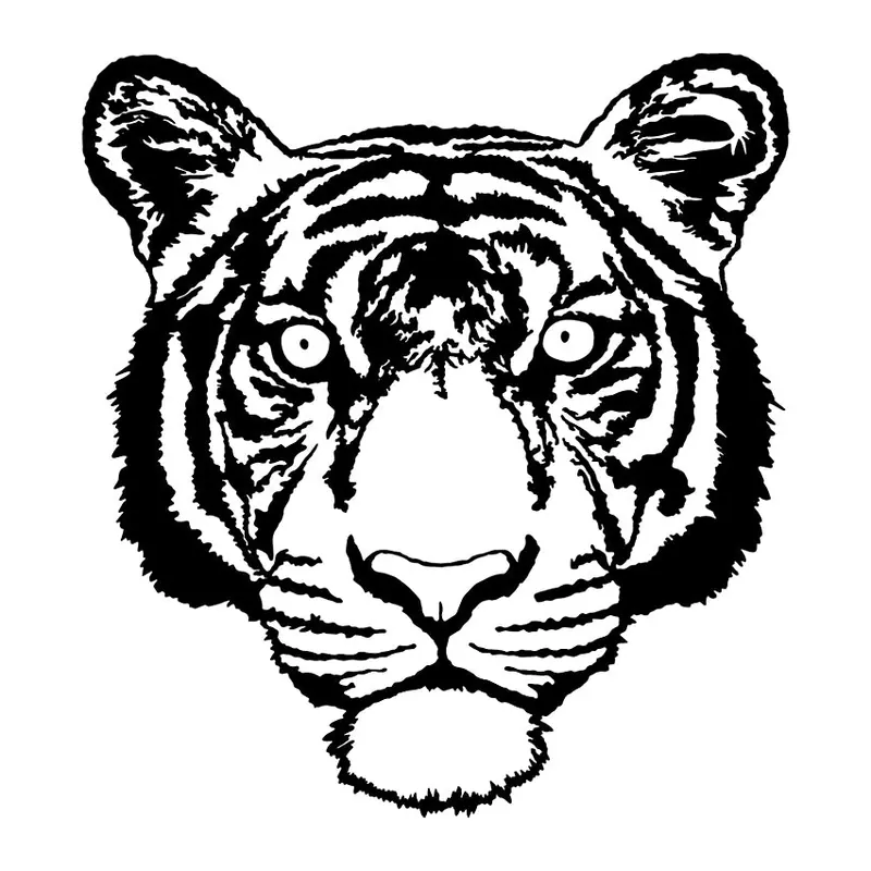 Tatuagem temporária Animais Selvagens — Tigre — rosto detalhado. Inclui tigre