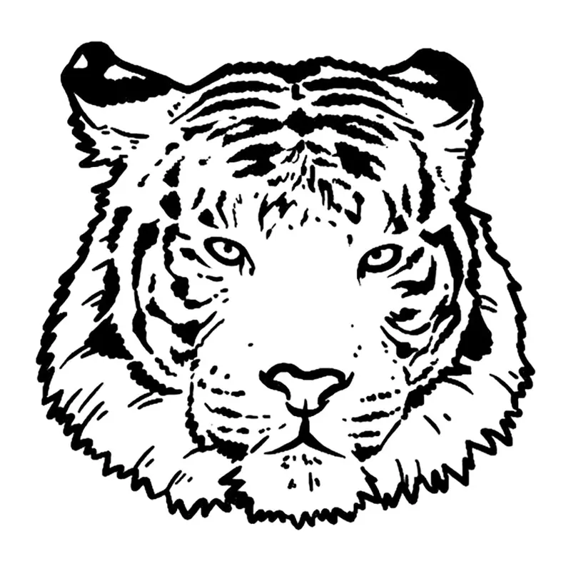 Tatuagem temporária Animais Selvagens — Tigre — rosto sombreado. Inclui tigre