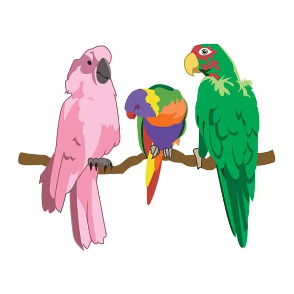 Tatuagem temporária Pássaros — Três papagaios coloridos. Inclui papagaios